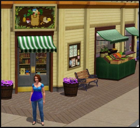 12 sims 3 carriere mi temps employe epicerie delise devant