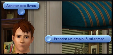 17 sims 3 carriere mi temps employe librairie interaction prendre emploi