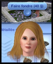 9 sims 3 collection pierre metal insecte fondre metaux