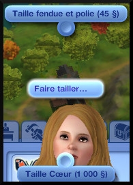 15 sims 3 collection pierre metal insecte taille pierre precieuse fleche