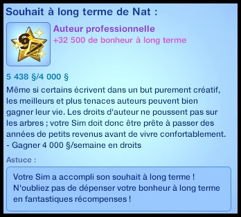 souhait à long terme auteur professionnel