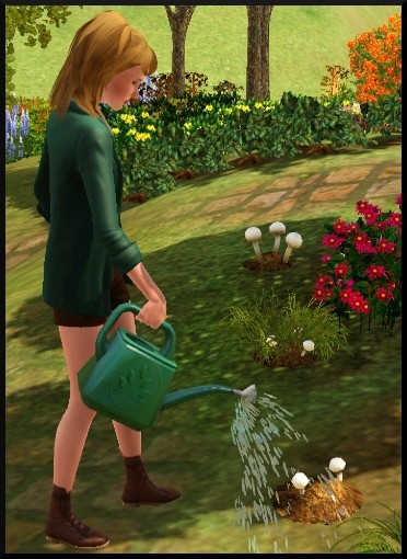 5 sims 3 competence jardinage Bloup arrose arrosoir