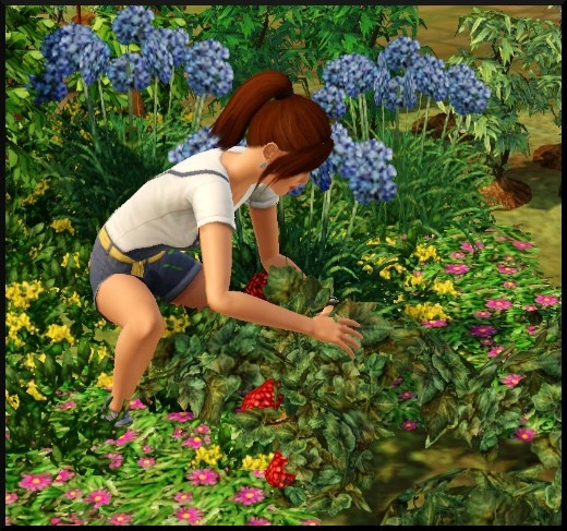 6 sims 3 competence jardinage Nat récolte ramasse fruits légumes