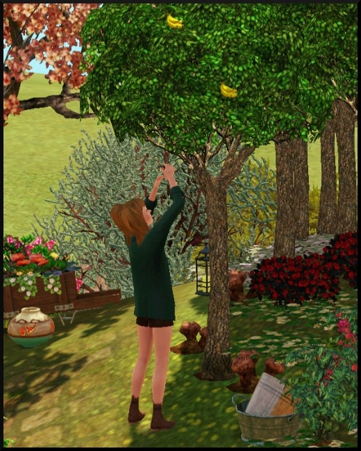 7 sims 3 competence jardinage Bloup cueille ramasse fruits banane