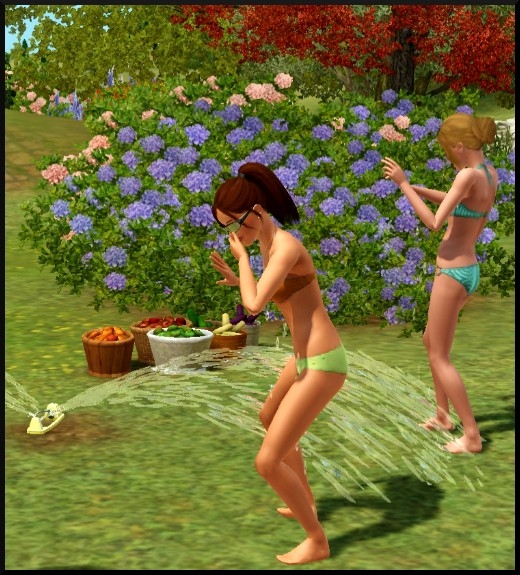 8 sims 3 competence jardinage Bloup Nat arrosage automatique jeu