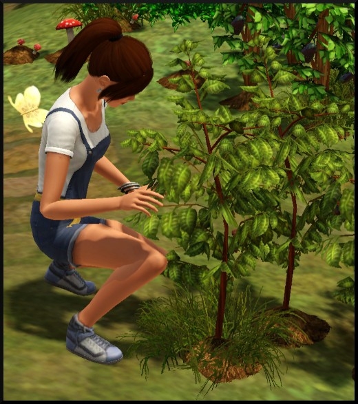 9 sims 3 competence jardinage Nat desherbe mauvaises herbes