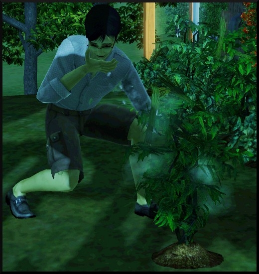 17 sims 3 competence jardinage zombie dévore plante pleine lune super pouvoir