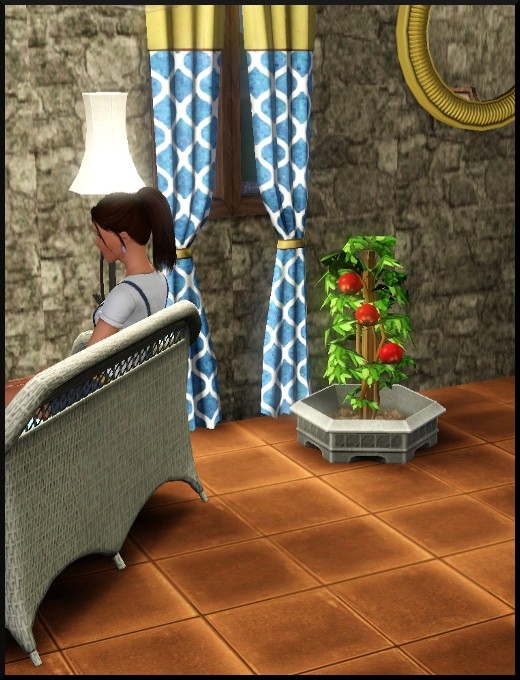 18 sims 3 competence jardinage plante en pot intérieur super pouvoir