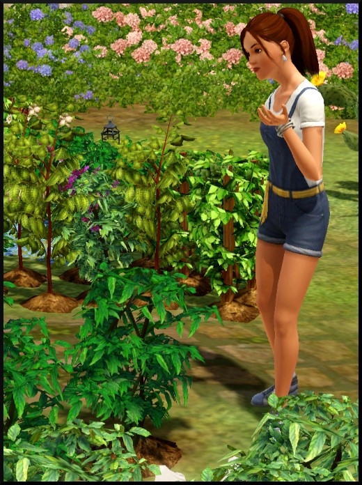 26 sims 3 competence jardinage parler à une plante