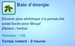 Sims 3 compétence jardinage moodlet baie energie