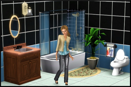 5 sims 3 mode achat construction salle de bain