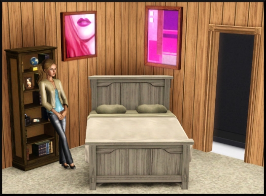 55 sims 3 mode achat construction chambre