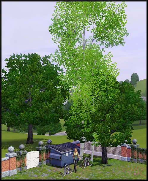 68 sims 3 mode achat construction jardin