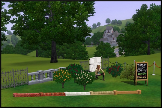 77 sims 3 mode achat construction jardin