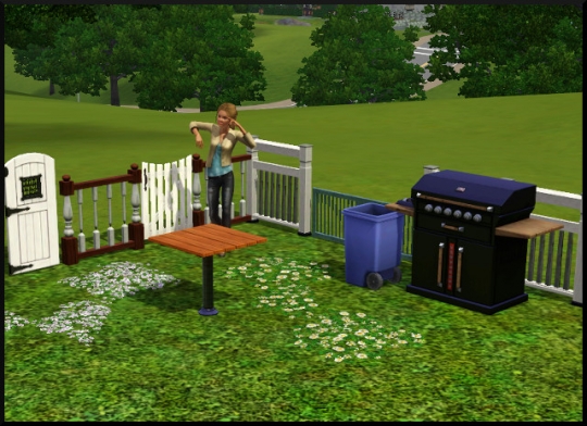 79 sims 3 mode achat construction jardin