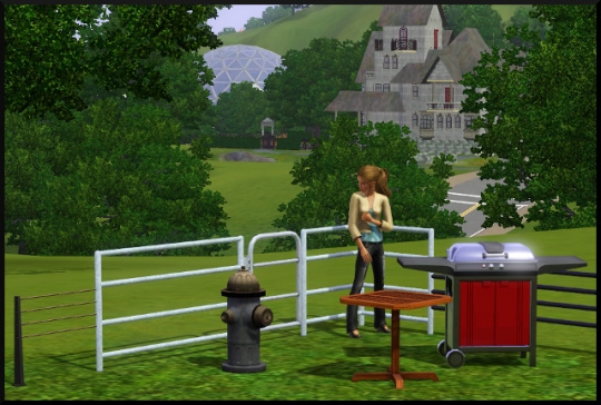 80 sims 3 mode achat construction jardin