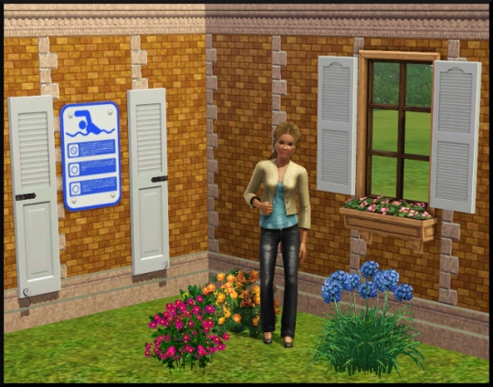 85 sims 3 mode achat construction jardin