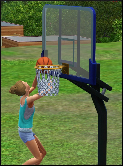 9 sims 3 store collection niveau superieur panier basket