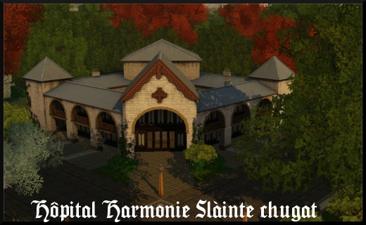 59 sims 3 store dragon valley rabbit hole hopital harmonie slainte chugat