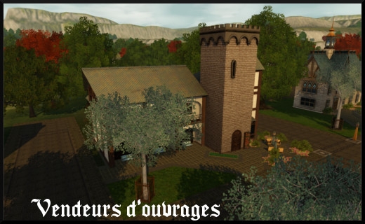 60 sims 3 store dragon valley rabbit hole vendeur d'ouvrages