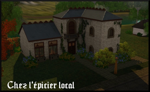 65 sims 3 store dragon valley rabbit hole chez l'épicier local