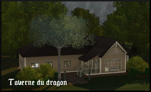 76 sims 3 store dragon valley terrain communautaire taverne du dragon