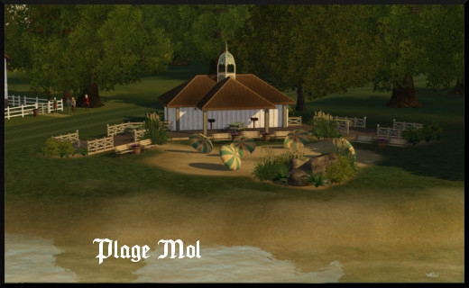 79 sims 3 store dragon valley parc plage mol