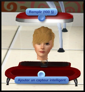 6 sims 3 store ere atomique distributeur automatique croquette