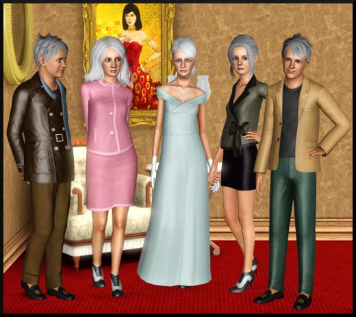 5 sims 3 store jet set personnes agees