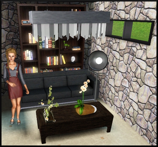 8 sims 3 store styles du moment Collection Eloquemment éclectique bibliothèque