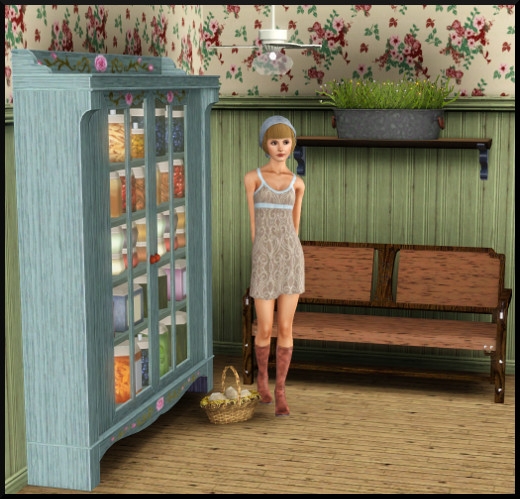 12 sims 3 store styles du moment Collection de cuisine Simple et charmante garde manger