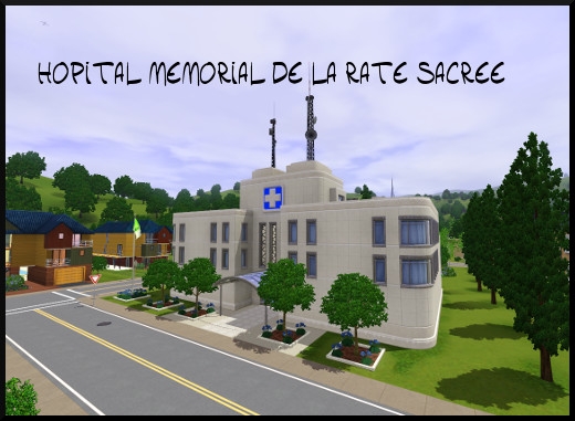 45 sims 3 sunset valley hopital memorial de la rate sacree