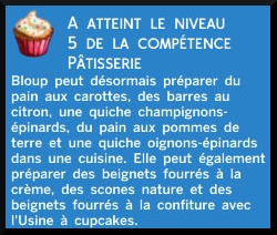 24 sims 4 au travail competence patisserie niveau 5