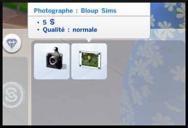 6 sims 4 photographie competence photo dans inventaire