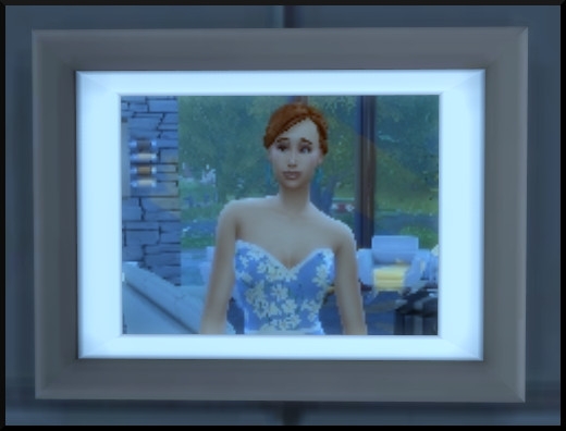 12 sims 4 photographie competence cadre