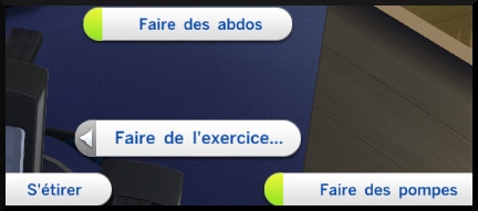 9 sims 4 competence fitness faire des abdos pompes etirements