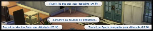 14 sims 4 competence jeux videos tournois débutant prix