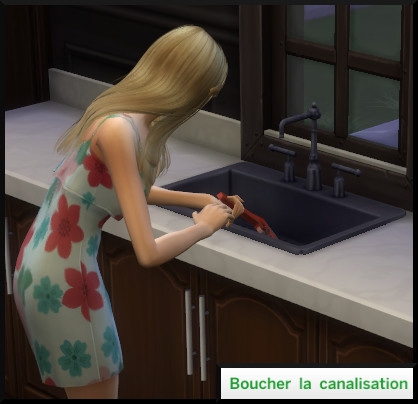 32 sims 4 competence malice boucher canalisation