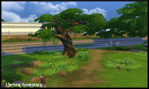 11 sims 4 ville monde willow creek arbre forestier magique