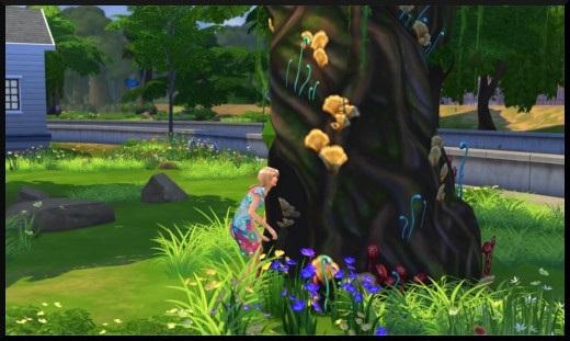 12 sims 4 ville monde willow creek arbre forestier magique explorer