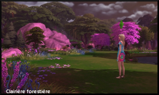 13 sims 4 ville monde willow creek foundry crove clairiere forestiere cachéee magique enchantée