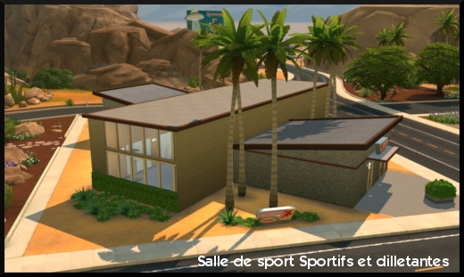 70 sims 4 ville monde oasis spring quartier commercial communautaire salle de sport sportifs dilletantes