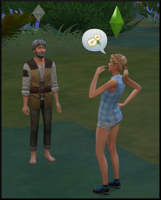16 sims 4 pack destination nature competence herboristerie ermitte recette