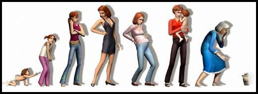 sims 2 genealogie vieillissement