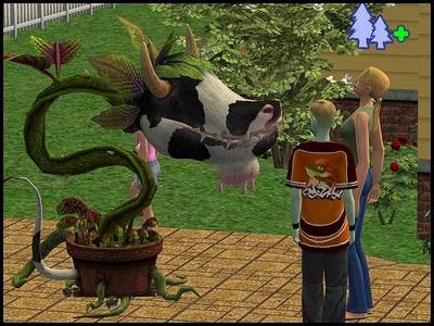 sims 2 plante vache