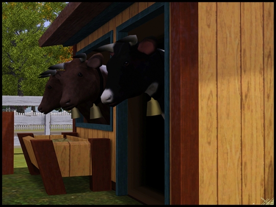 sims 3 les vaches set du store