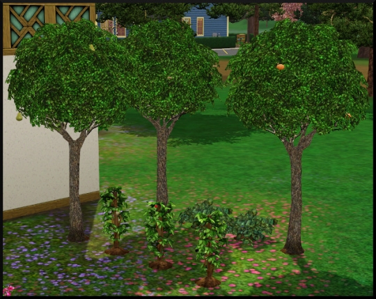 9 sims 3 store set jardin boheme fruits jardin competence fraise myrtille peche poire framboise mure noix pecan cacao