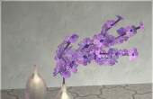 Recoloration violette