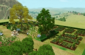 Le jardin potager