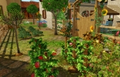 Vue rapprochée potager